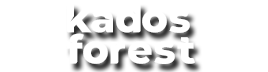 těžba dřeva harvestorem